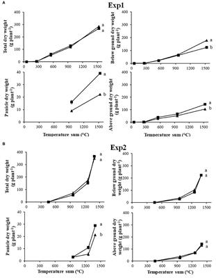 Fitness Costs Associated to an Ile2041Asn Mutation in the Geophyte Sorghum halepense Resistant to ACCase-Inhibiting Herbicides